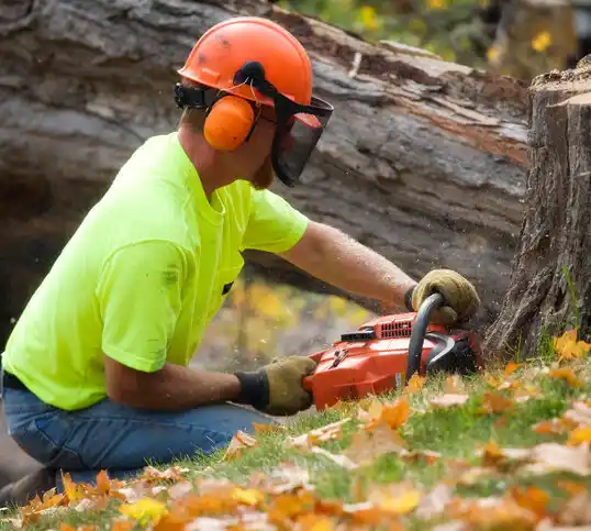 tree services Tobaccoville